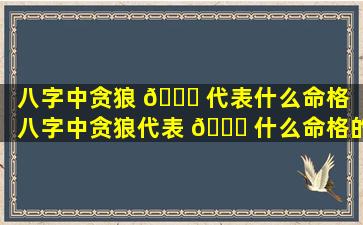 八字中贪狼 🐘 代表什么命格（八字中贪狼代表 💐 什么命格的人）